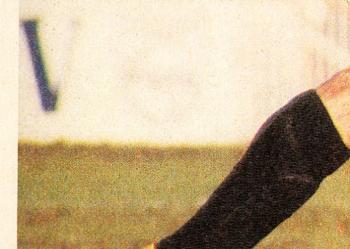 1980 Scanlens VFL #50 Denis Scanlon Back
